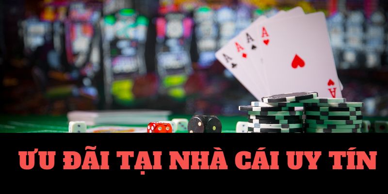 Vi68 cầu lô đẹp nhất ngày hôm nay